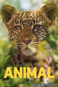Animal (2021) Hindi Web Series Netflix Original