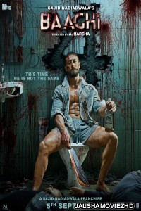 Baaghi 4 (2025) Hindi Movie