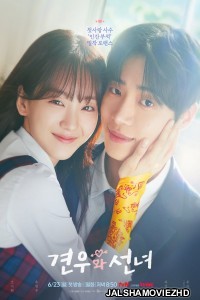 Head Over Heels (2025) Season 1 Korean Hindi Dubbed Drama Series