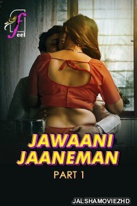 Jawaani Jaaneman (2025) Part 1 Feel Hindi  Webseries