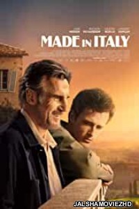 Made in Italy (2020) English Movie