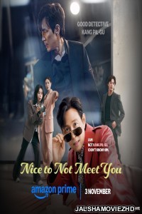Nice to Not Meet You (2025) S01 Hindi Dubbed Web Series