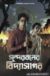 Sundarbaner Vidyasagar (2022) Bengali Web Series Hoichoi Original